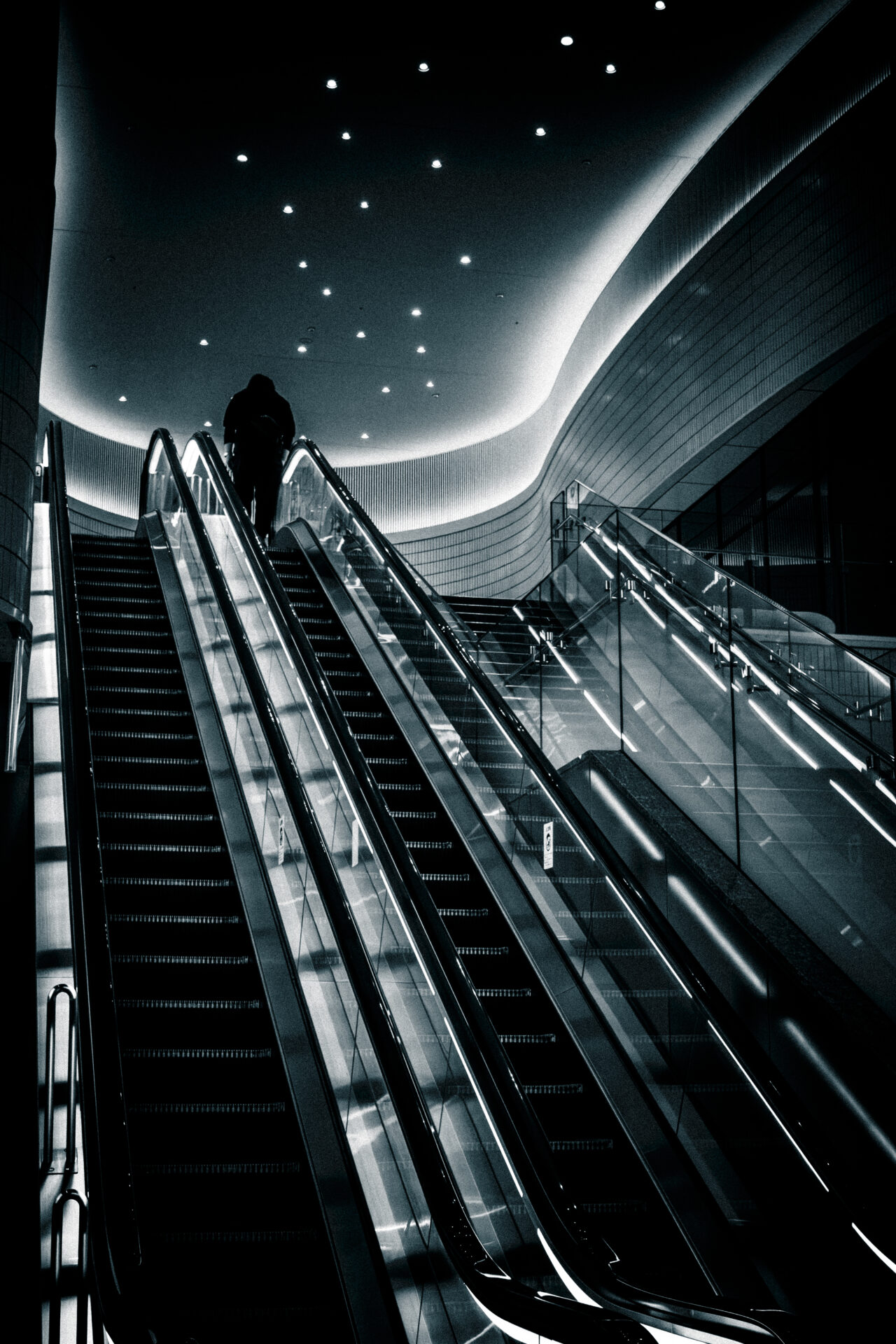 「starry sky」プリント (A-001)